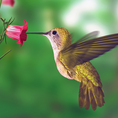 Uncle Bill & Auntie Jan